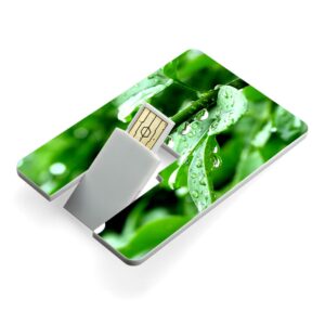 Credit Card USB